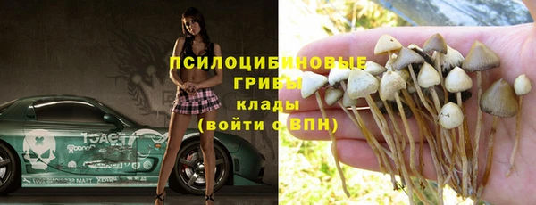 молекула духа Балабаново