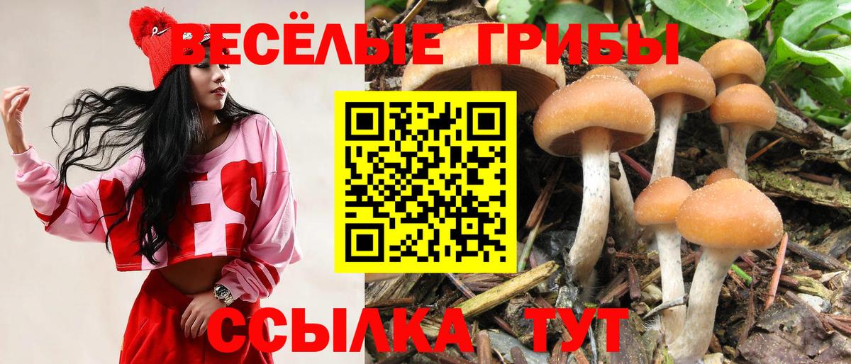 Псилоцибиновые грибы MAGIC MUSHROOMS  Галлюциногенные грибы GOLDEN TEACHER  Славгород  Вход с VPN 