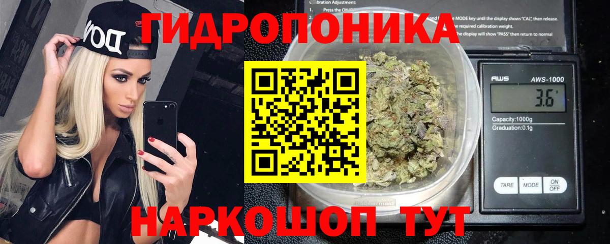 Конопля гибрид Славгород